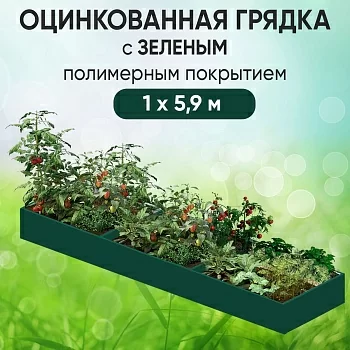 Грядка зеленая (1 х 5,9)