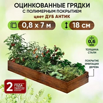Грядка Дуб Антик (0,8 х 7)
